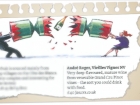 Financial Times - 25 fine festive fizzes