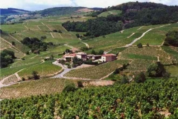 Domaine Cheysson