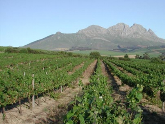 Simonsberg Mountains