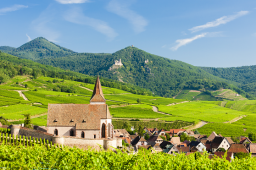 Alsace