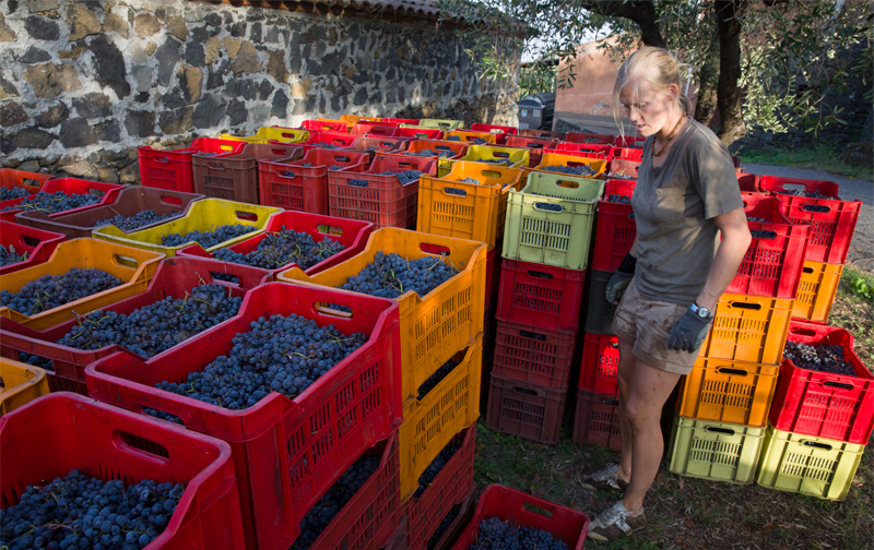 Women's Month Interview: Winemaker Anne-Louise 