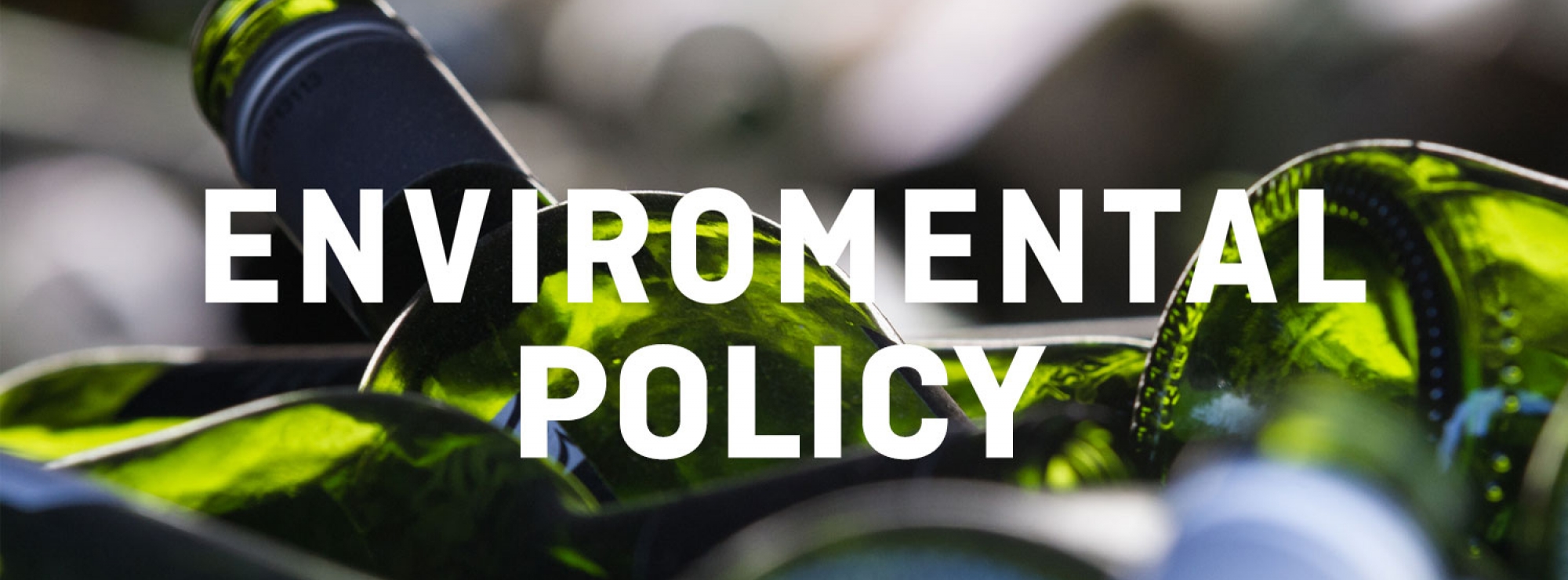 Environmnetla policy 