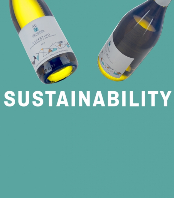 Mobile - Sustainability