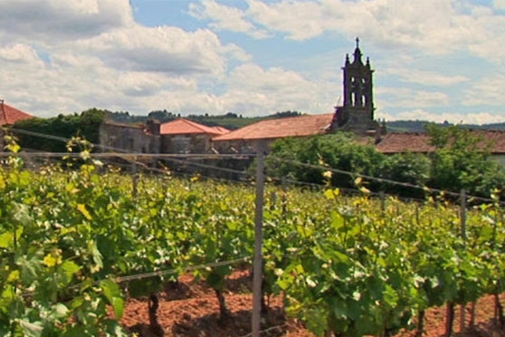 Bodegas do Campo