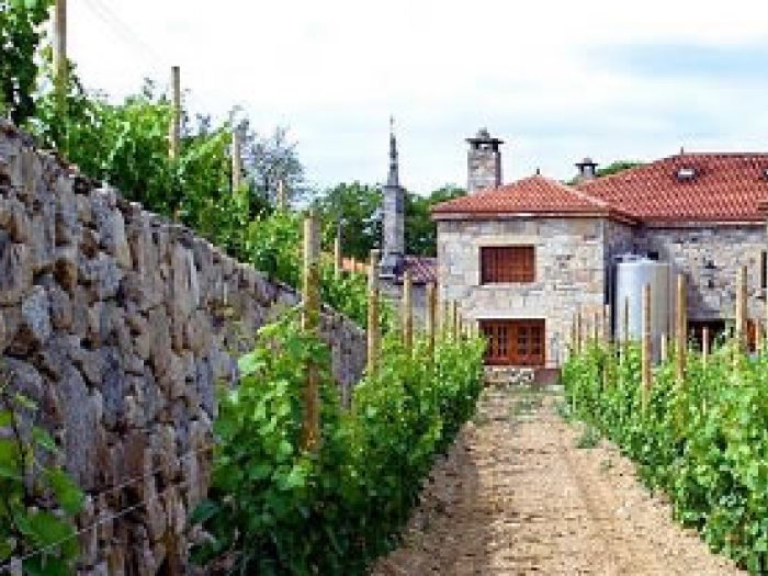 Court Yard at Bodegas Gallegas