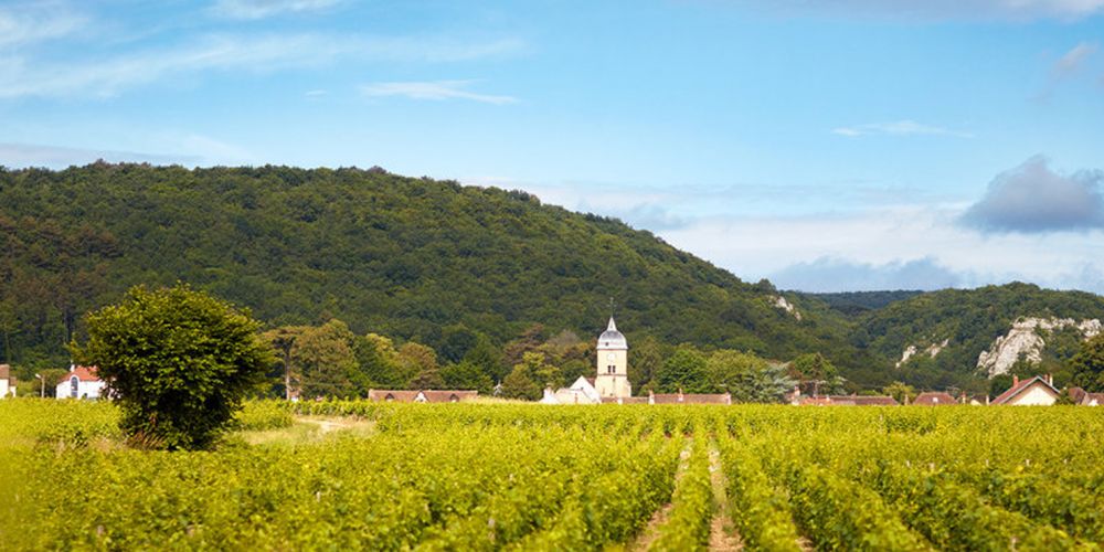 Domaine Michel Magnien