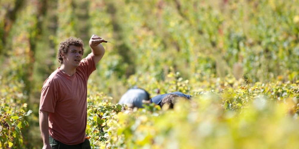 Domaine Ninot
