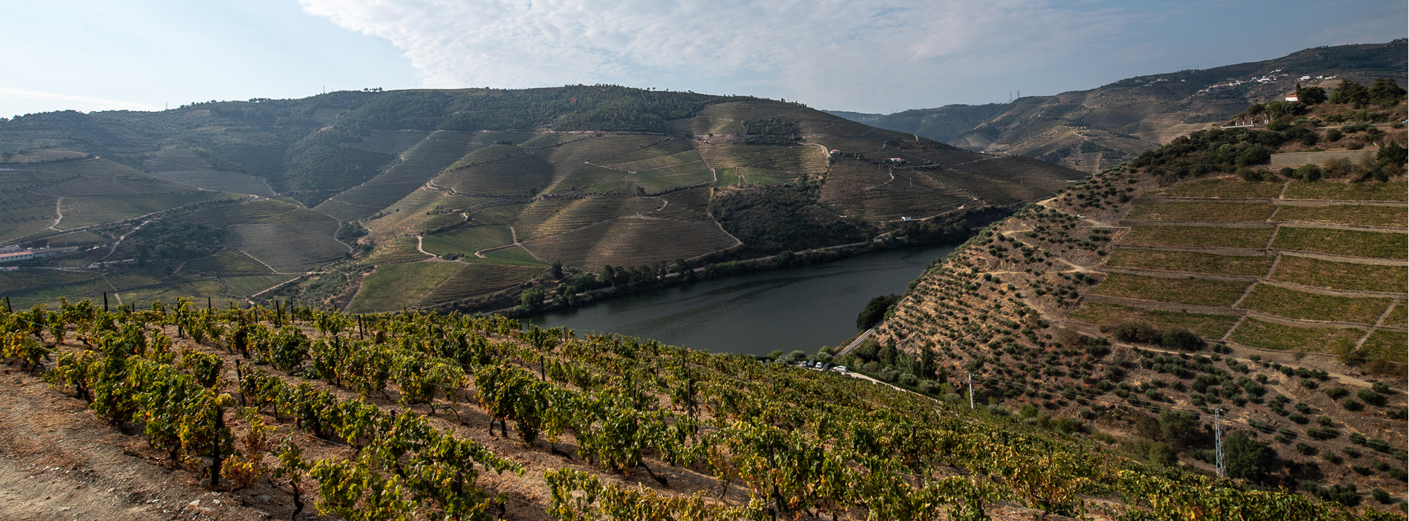 Douro Valley