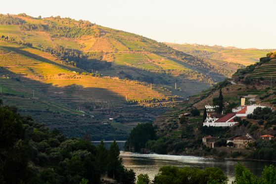 Douro Valley