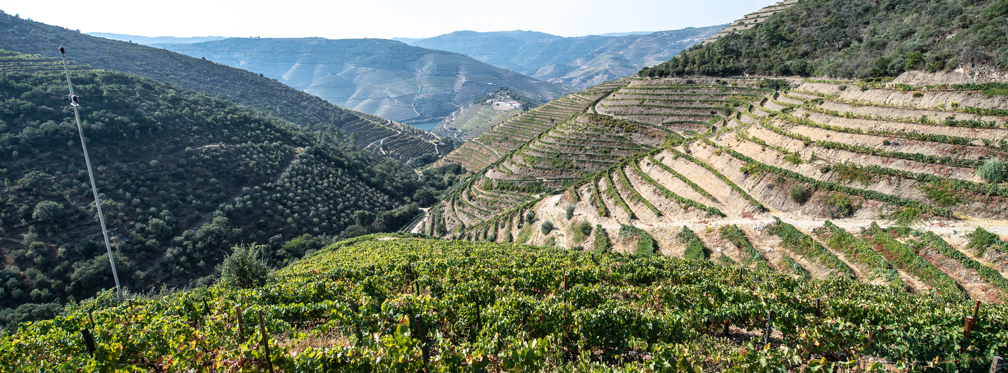 Douro 