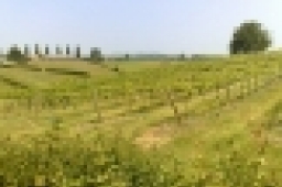 Gloucestershire