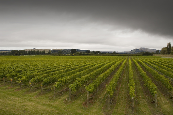 Hawkes Bay