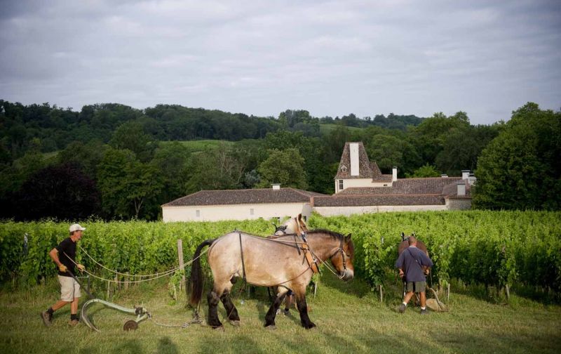 Chateau Jean Faux