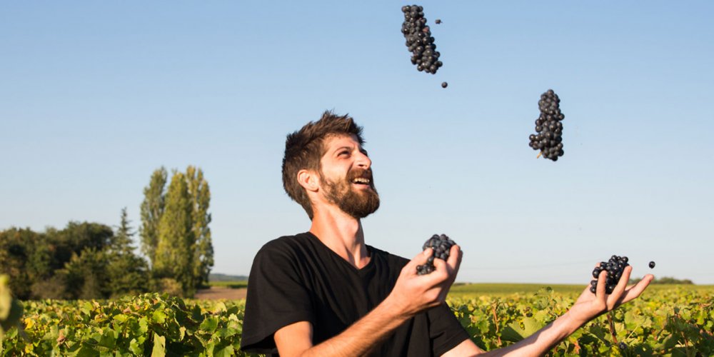 Domaine Jean-Francois Merieau