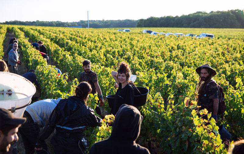 Domaine Jean-Francois Merieau