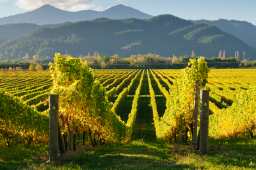 Marlborough