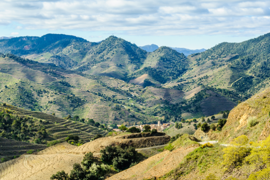 Priorat