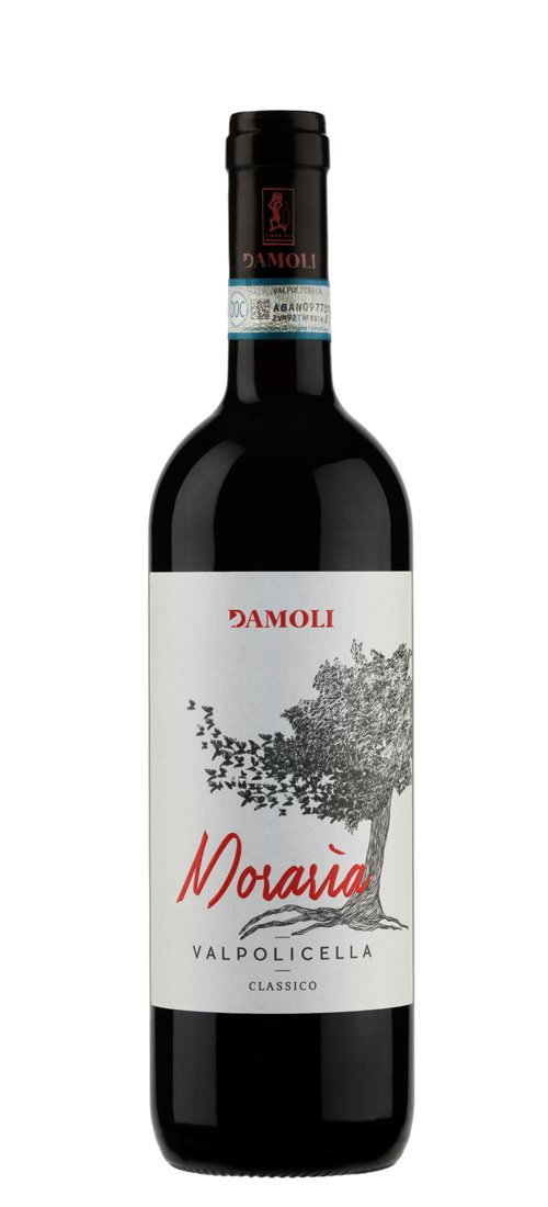 DAMOLIVALPO17