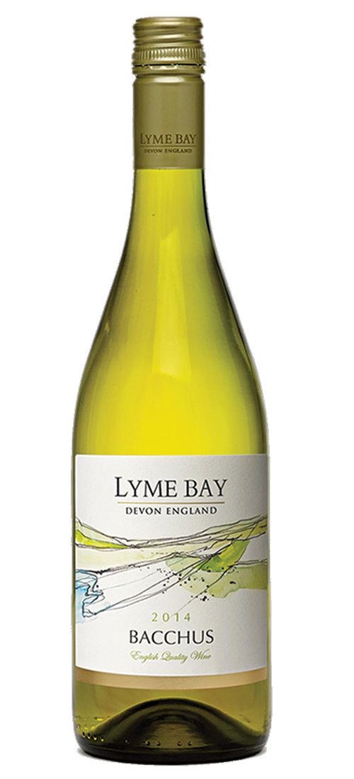 LYMEBAYBACC