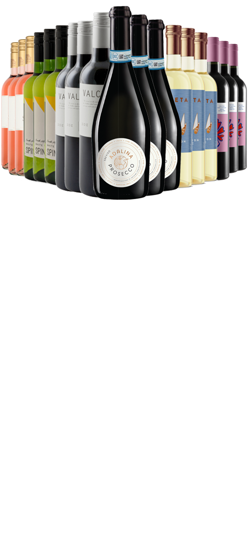 18BOTTLECASE.2021