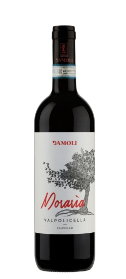 DAMOLIVALPO19