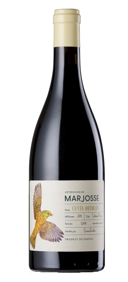 MARJORTOLAN18