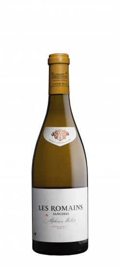 AMELLROMAINSBL21