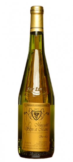 DERAMEMUSCADET22