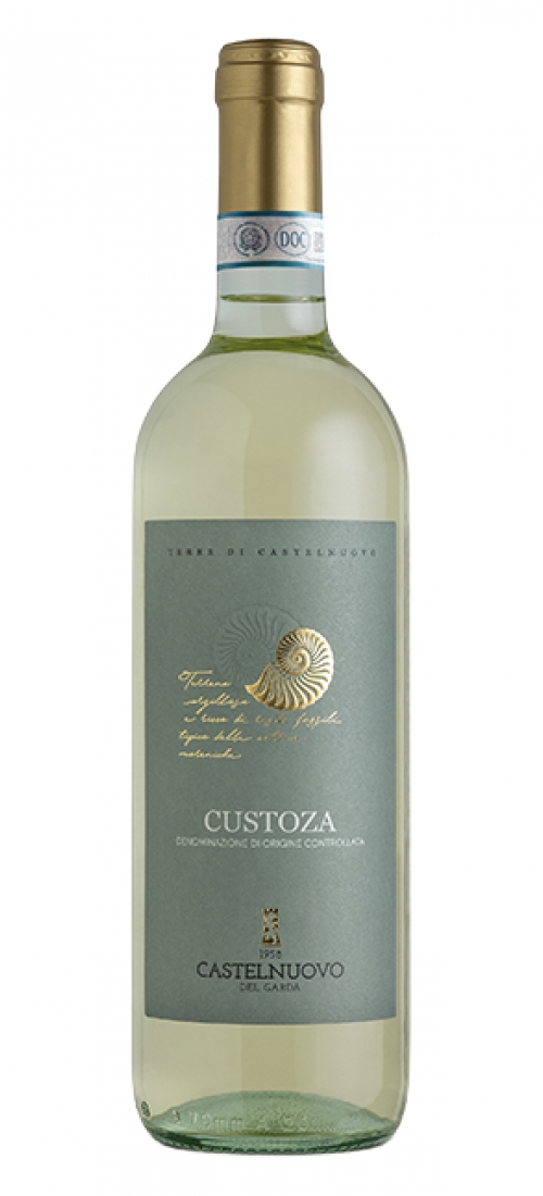 CASTELNUCUSTO24