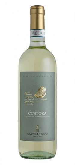 CASTELNUCUSTO24