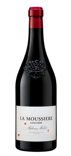 AMELLMOUSSROUG22
