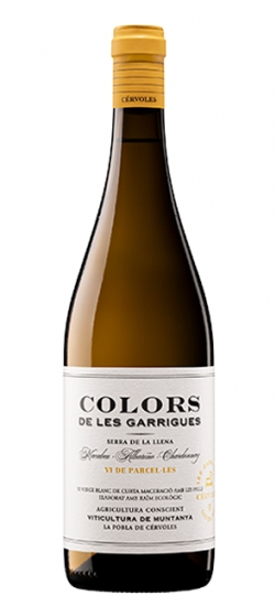 CERVCOLBLANC24
