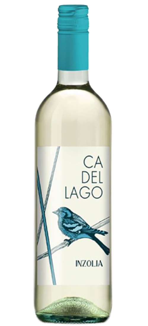 ENCADELLINZOLI11NV