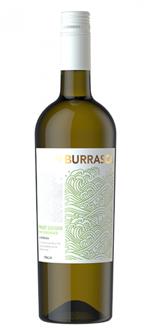 VERBURRAPINOTG24