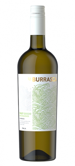 VERBURRAPINOTG24