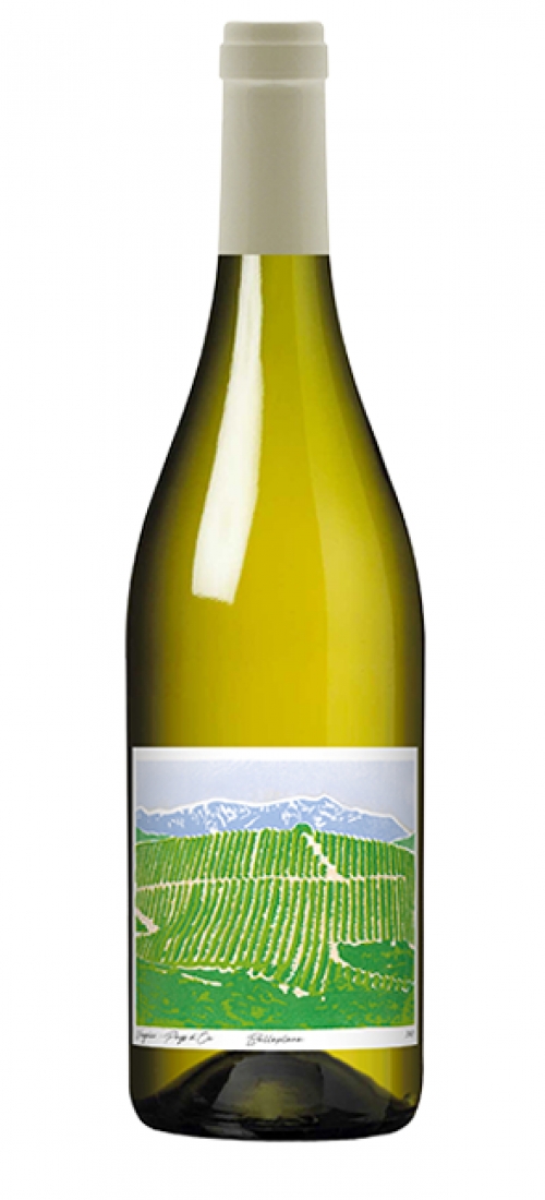 BELPLANEVIOG23
