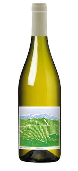 BELPLANEVIOG23