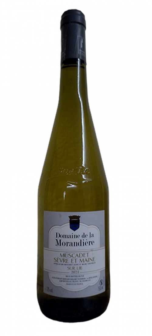 DERAMEMUSCADET23