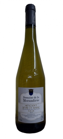 DERAMEMUSCADET23
