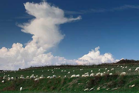 Sardinia