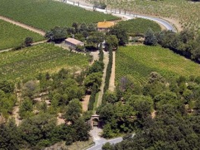 Stunnuing Vineyards at Villa le Prata