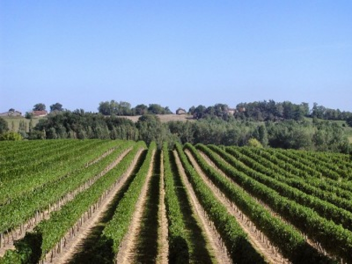 Sunshine over Clef d'Argent