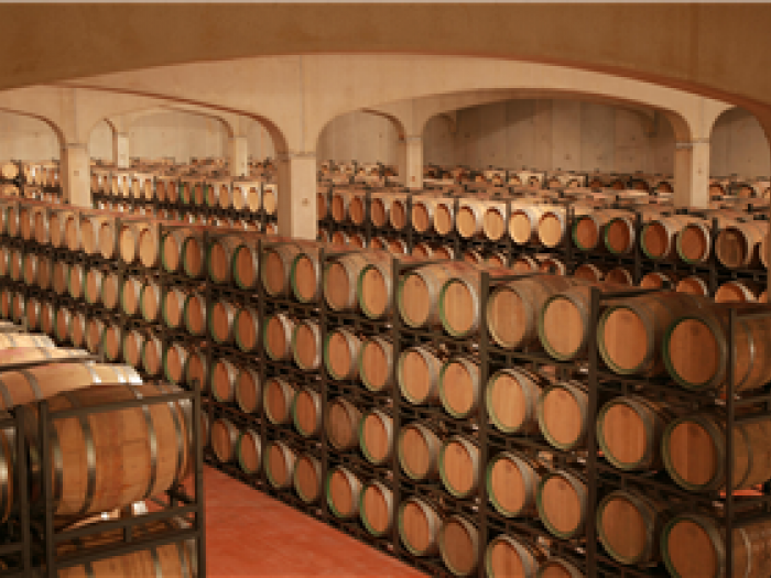 The Wooden Casks of Bodegas Navajas