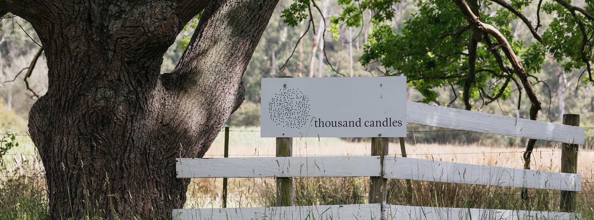 thousand candles 2