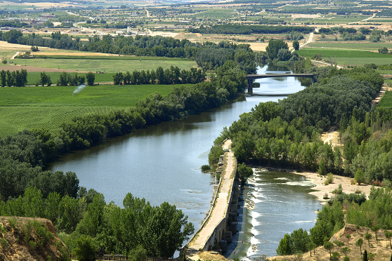 Toro, Castile y Leon