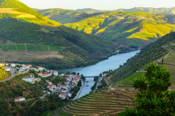 Vinho Verde