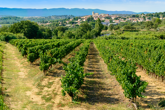 Vins de Pays d'Oc