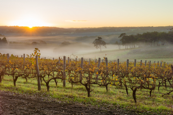 Western Australia