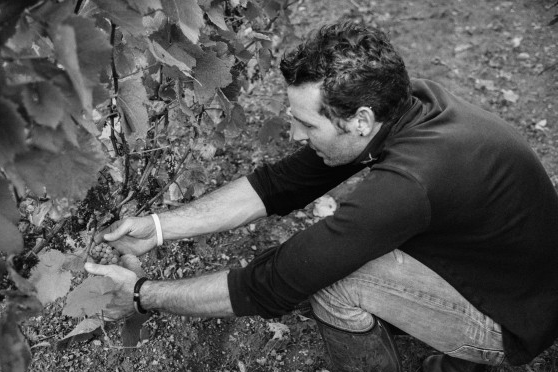 Winemaker Lionel Métaireau 